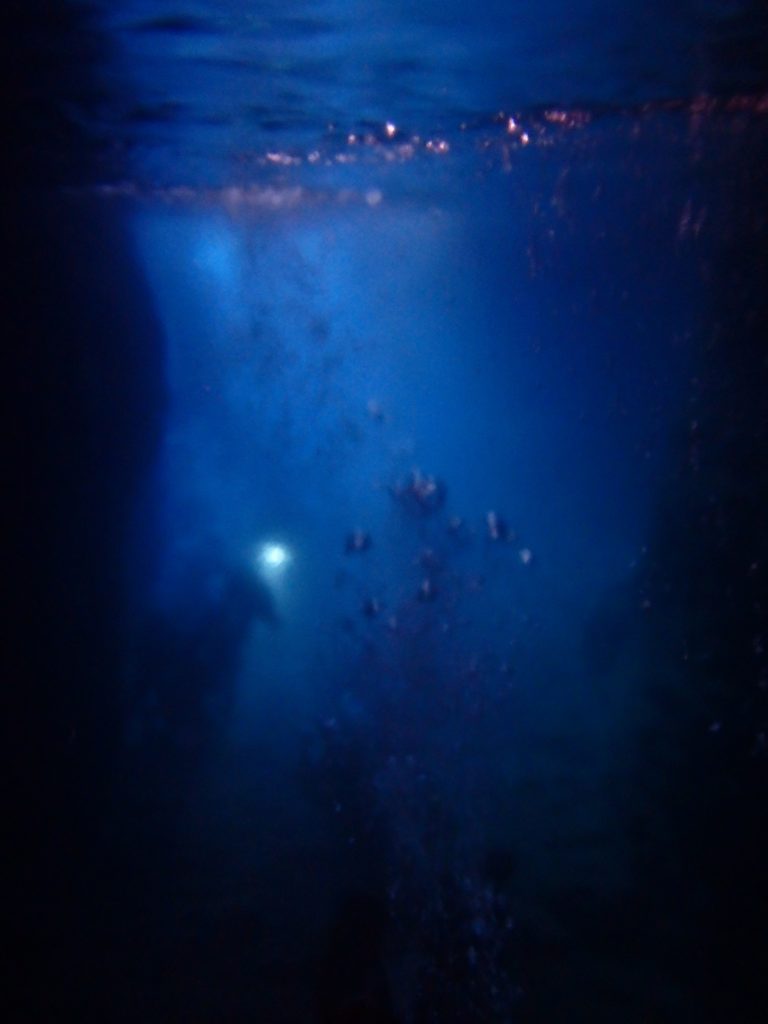 神秘的な沖縄・青の洞窟　シュノーケリングツアーに参加