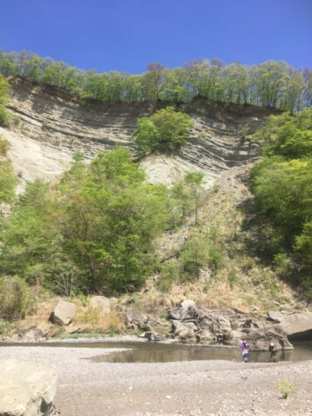 埼玉県でほぼ確実に化石が見つかる場所 秩父「ようばけ」