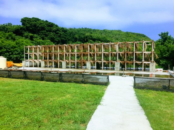 沖縄 浜比嘉島の穴場観光スポット「高江洲製塩所」